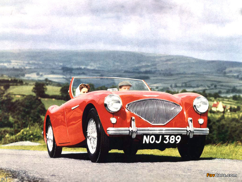 Images of Austin Healey 100 (BN1) 1953–55 (800 x 600)