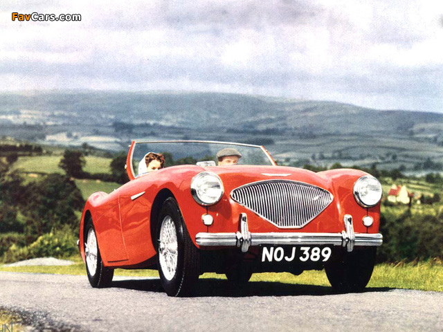 Images of Austin Healey 100 (BN1) 1953–55 (640 x 480)