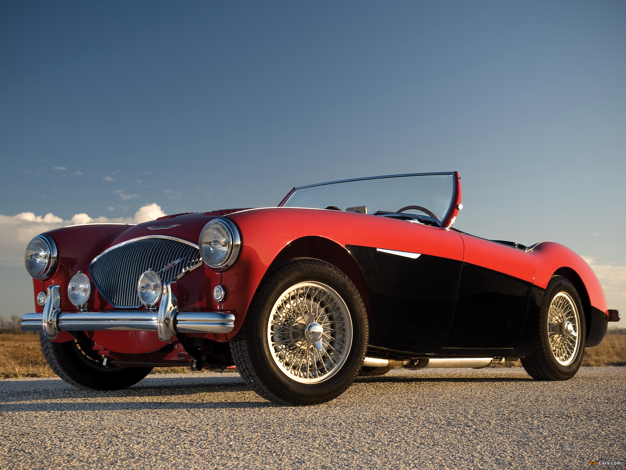 Images of Austin Healey 100 (BN2) 1955–56 (2048 x 1536)