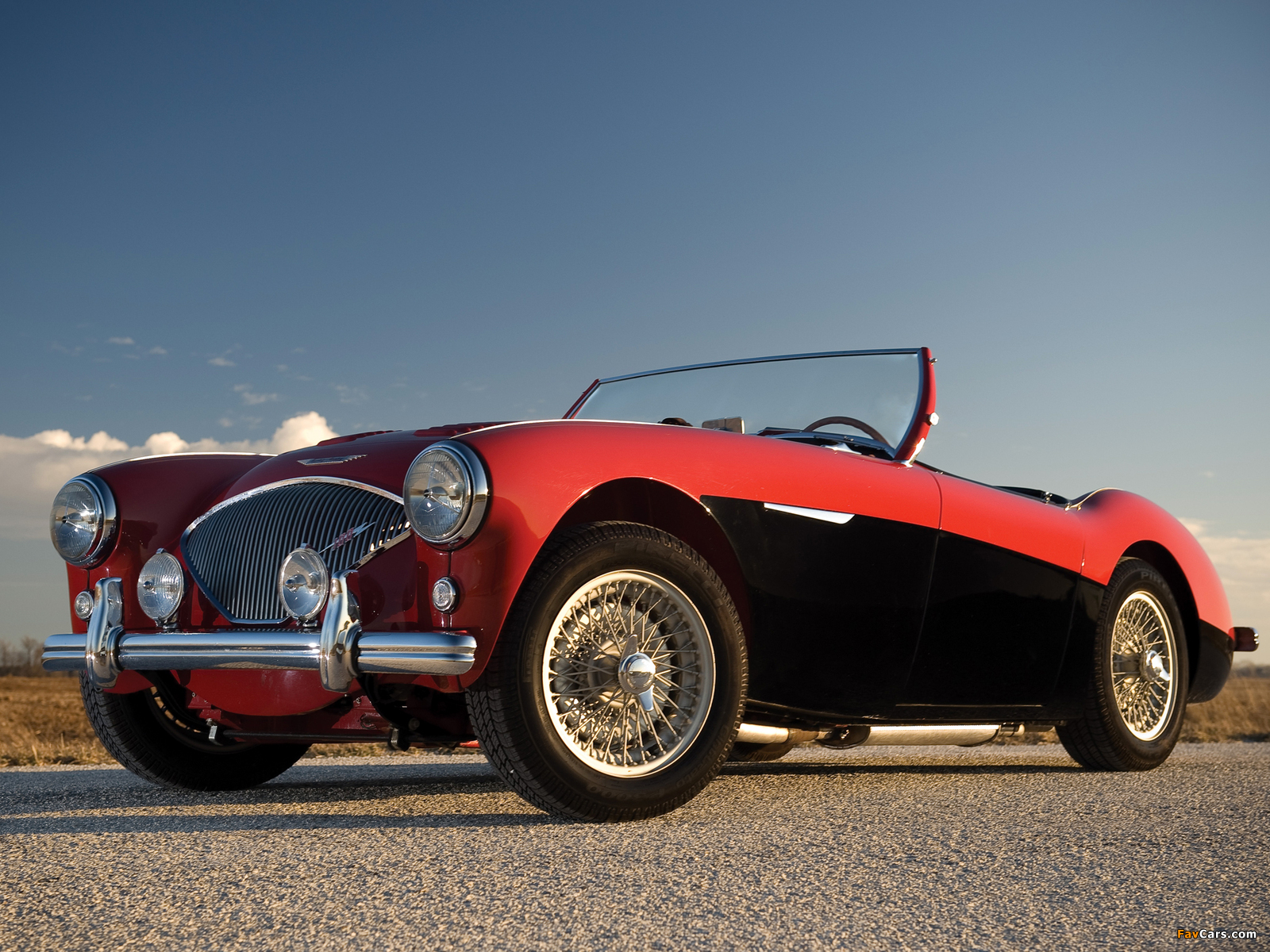 Images of Austin Healey 100 (BN2) 1955–56 (1600 x 1200)