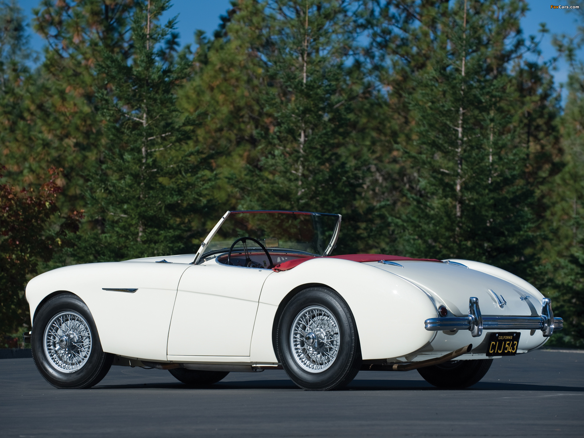Pictures of Austin Healey 100 (BN2) 1955–56 (2048 x 1536)