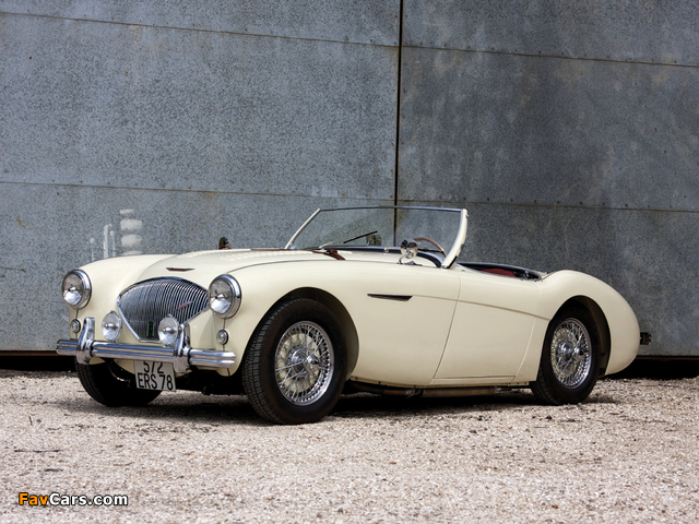 Austin Healey 100 (BN2) 1955–56 wallpapers (640 x 480)