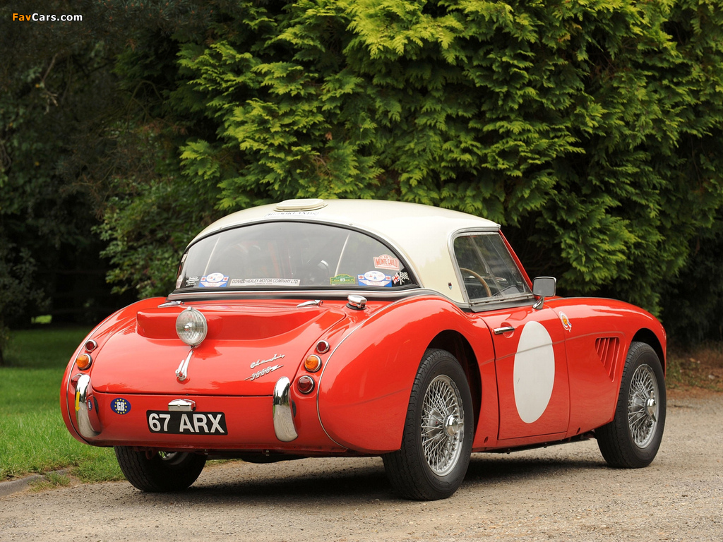 Austin Healey 3000 Rally Car (MkII) 1962 pictures (1024 x 768)