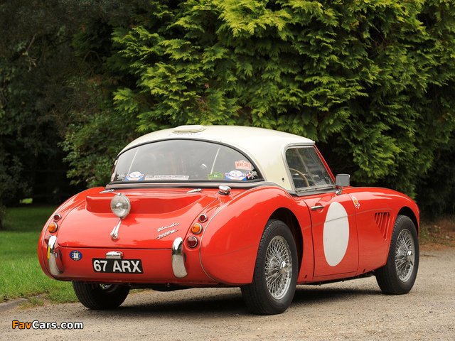 Austin Healey 3000 Rally Car (MkII) 1962 pictures (640 x 480)