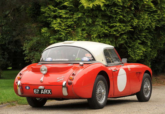 Austin Healey 3000 Rally Car (MkII) 1962 pictures