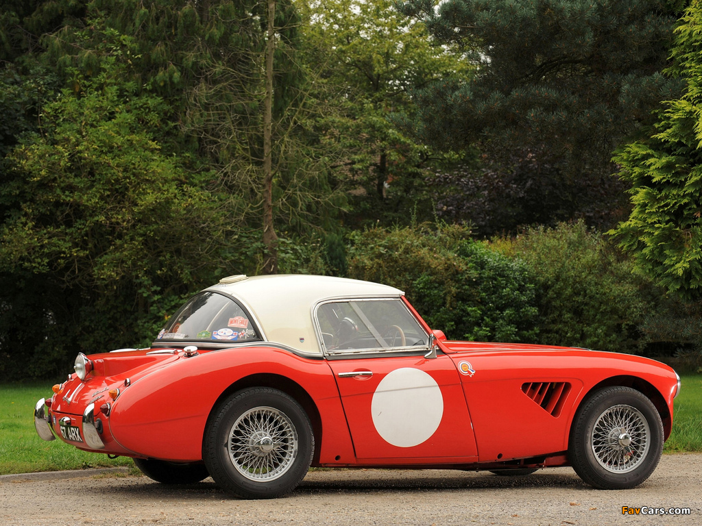 Pictures of Austin Healey 3000 Rally Car (MkII) 1962 (1024 x 768)