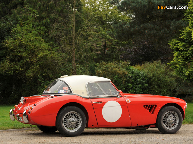 Pictures of Austin Healey 3000 Rally Car (MkII) 1962 (640 x 480)