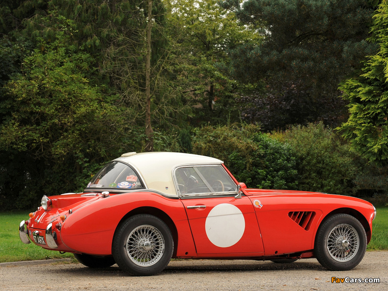 Pictures of Austin Healey 3000 Rally Car (MkII) 1962 (800 x 600)
