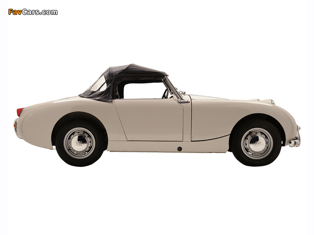 Pictures of Austin Healey Sprite (MkI) 1958–61 (640 x 480)