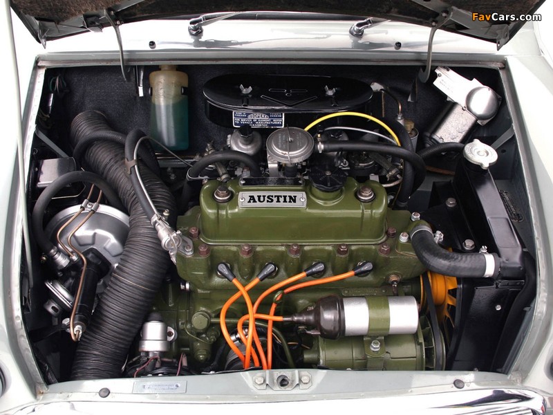 Austin Mini Cooper S Rally (ADO15) 1964–68 images (800 x 600)