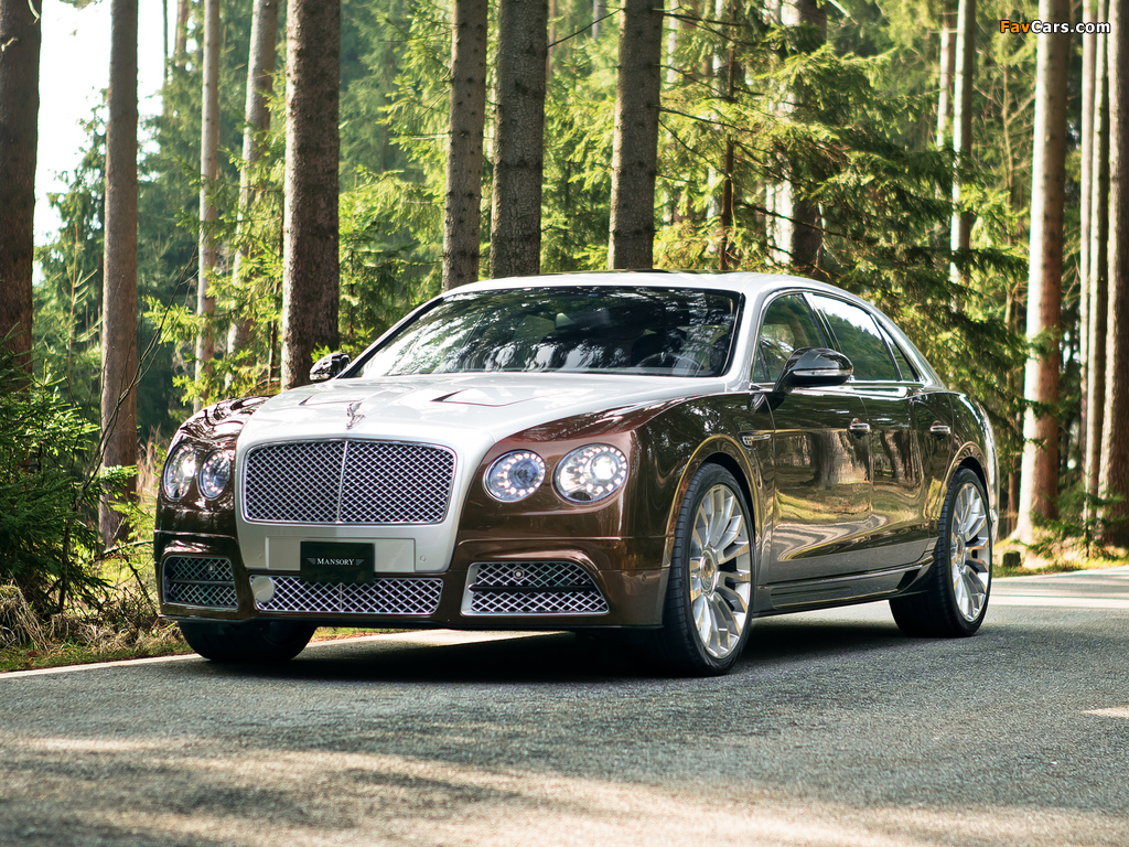 Mansory Bentley Continental Flying Spur 2014 wallpapers (1024 x 768)