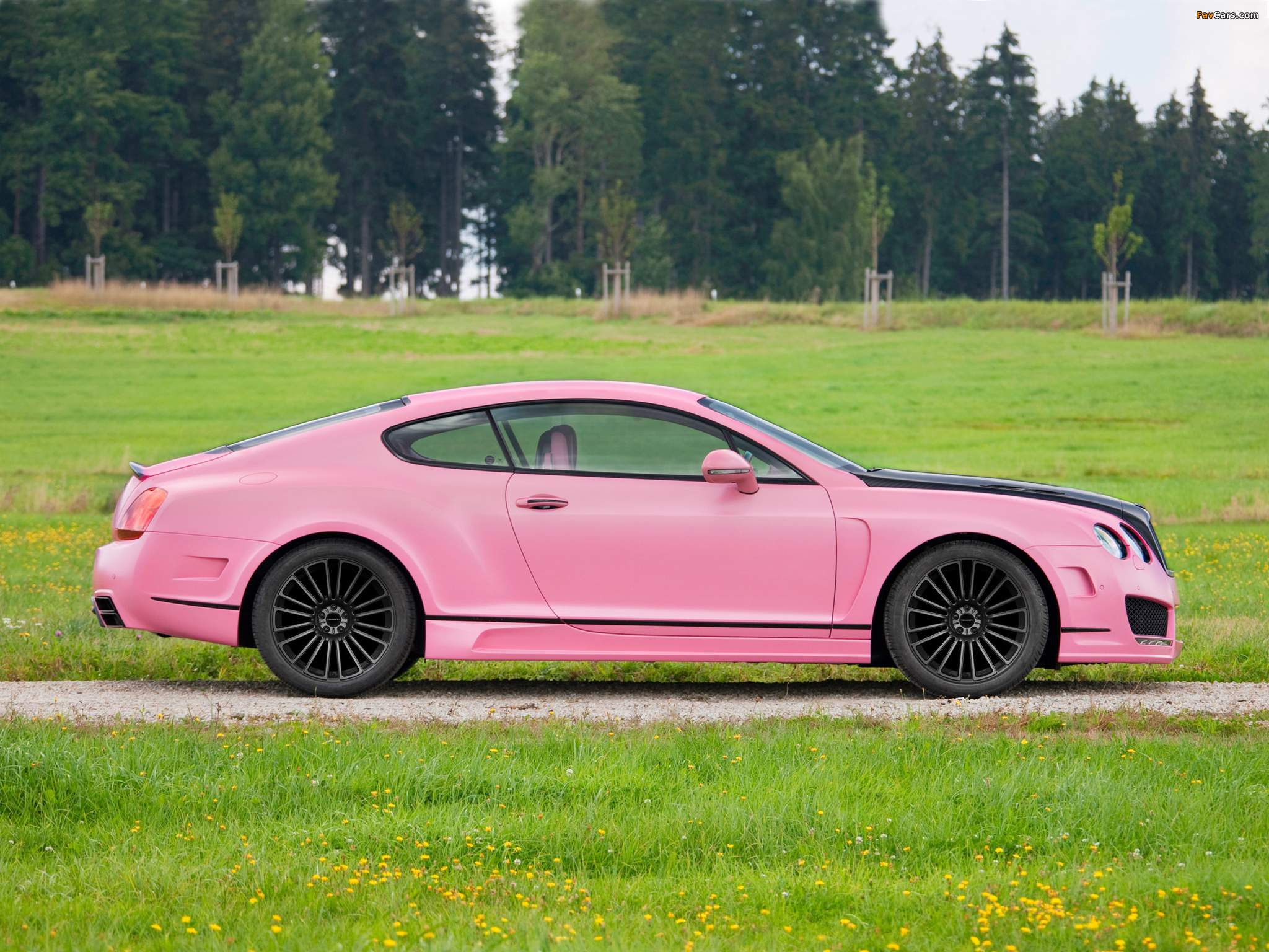 Mansory Bentley Continental GT Vitesse Rose 2009 images (2048 x 1536)