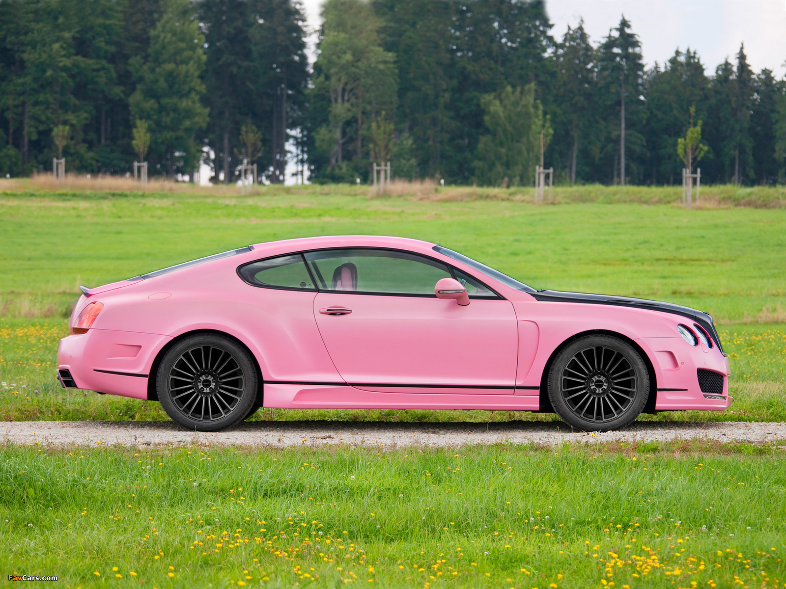 Mansory Bentley Continental GT Vitesse Rose 2009 images (1600 x 1200)