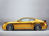 Photos of ASI Bentley W66 GTS Gold 2008–10