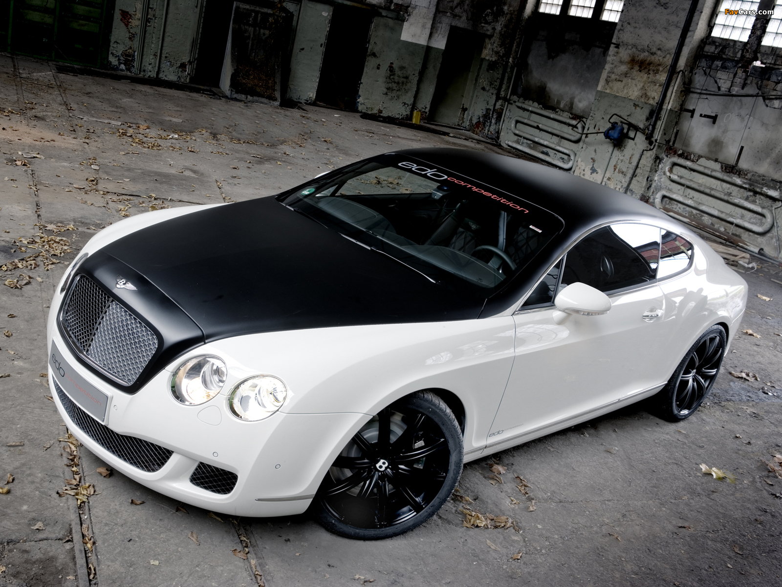 Photos of Edo Competition Bentley Continental GT Speed 2009–10 (1600 x 1200)