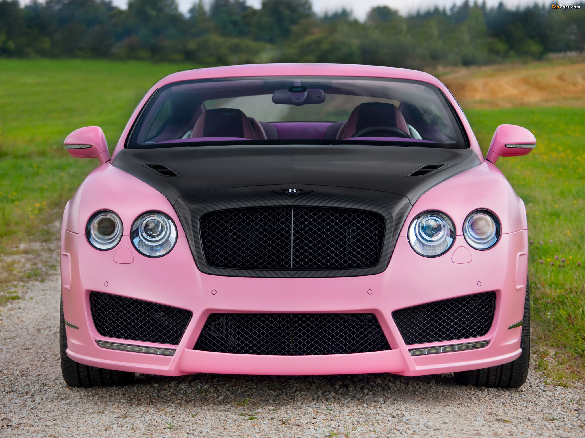 Photos of Mansory Bentley Continental GT Vitesse Rose 2009 (2048 x 1536)