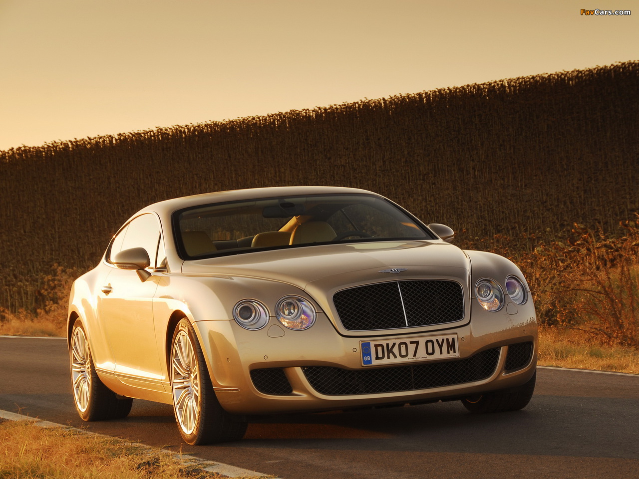 Pictures of Bentley Continental GT Speed 2007–11 (1280 x 960)