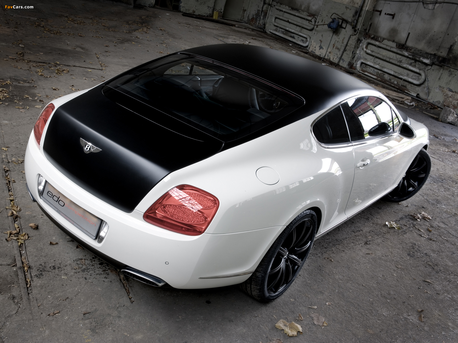 Edo Competition Bentley Continental GT Speed 2009–10 wallpapers (1600 x 1200)