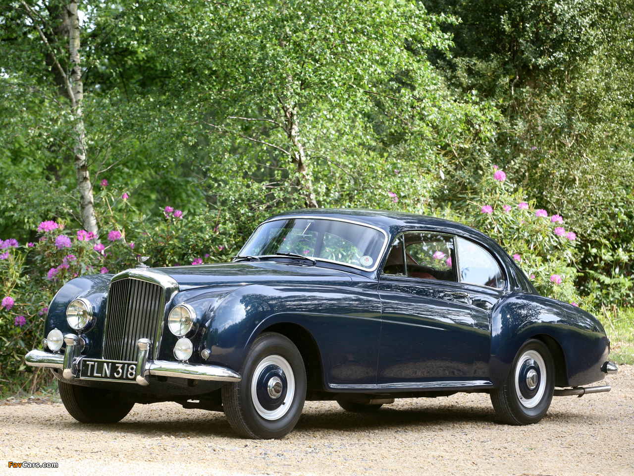 Bentley R-Type Continental Sports Saloon by Mulliner 1952 images (1280 x 960)