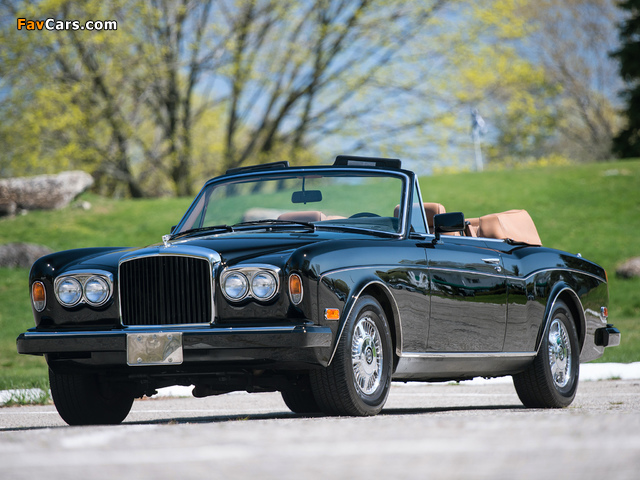 Bentley Continental Convertible 1984–89 images (640 x 480)