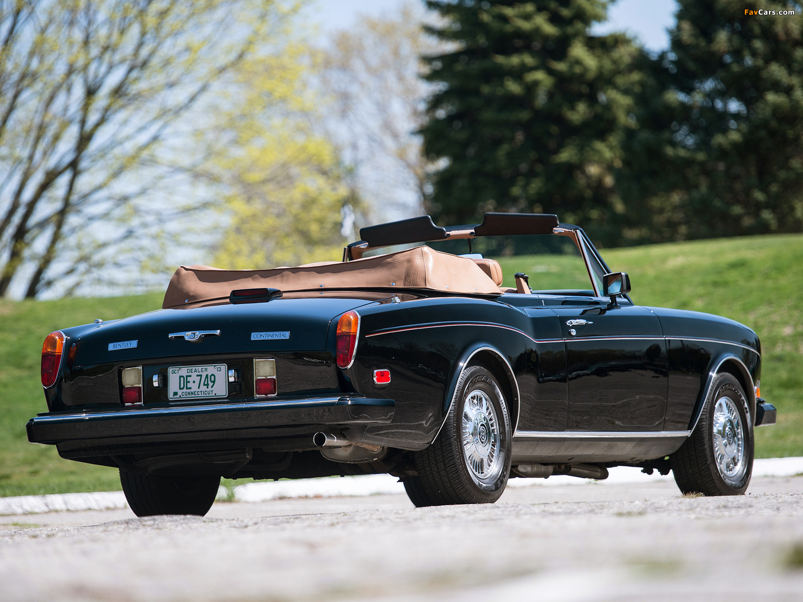 Bentley Continental Convertible 1984–89 images (1600 x 1200)