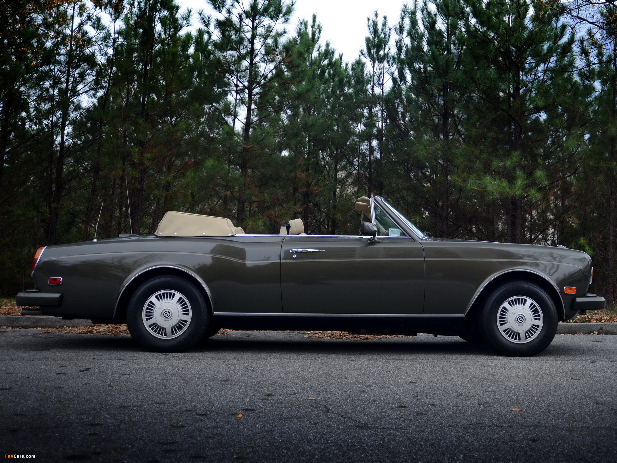 Bentley Continental Convertible 1984–89 photos (2048 x 1536)