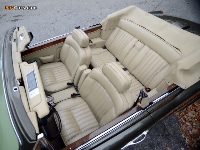 Bentley Continental Convertible 1984–89 photos (640 x 480)