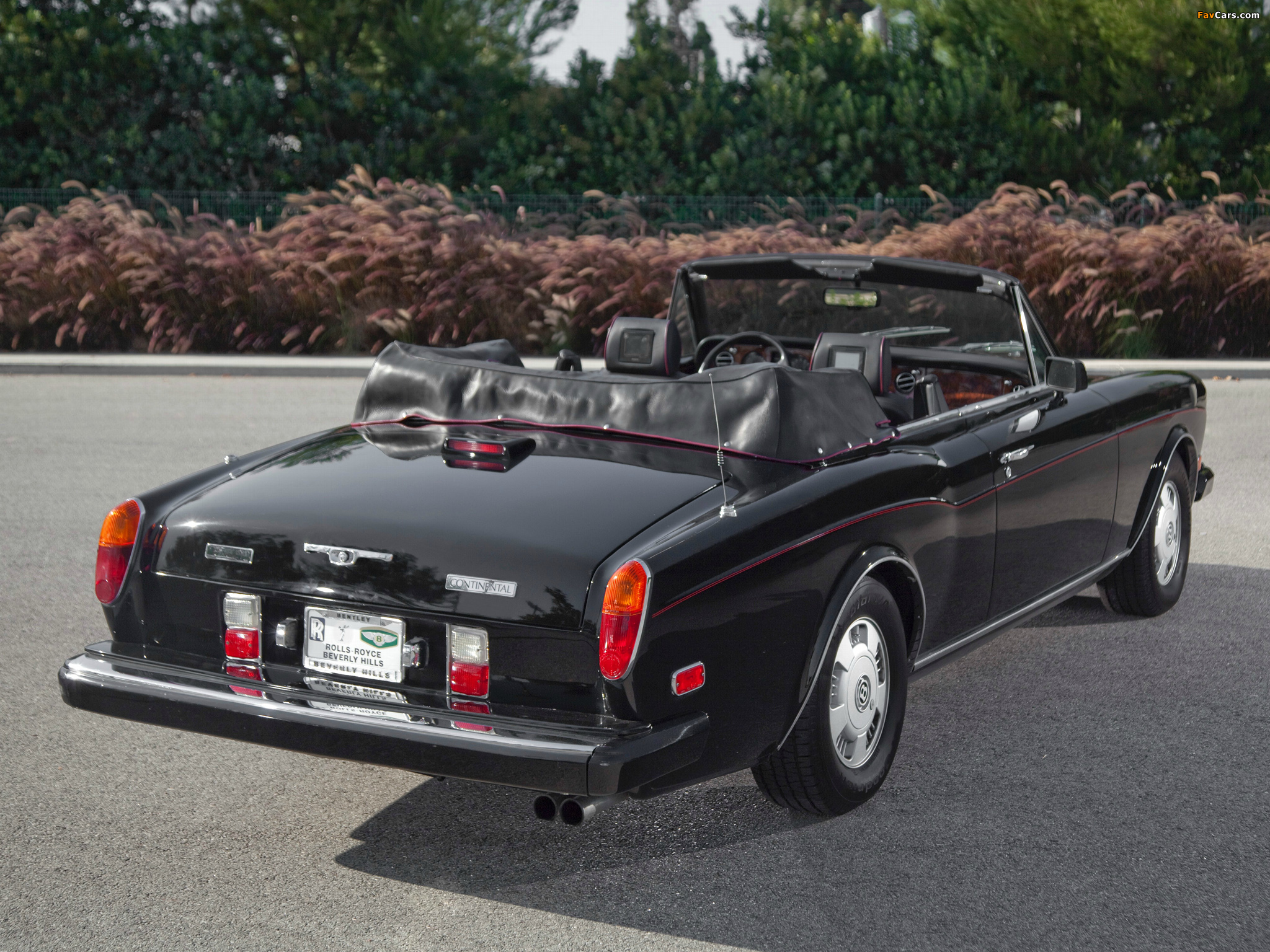 Bentley Continental Convertible 1992–95 pictures (2048 x 1536)