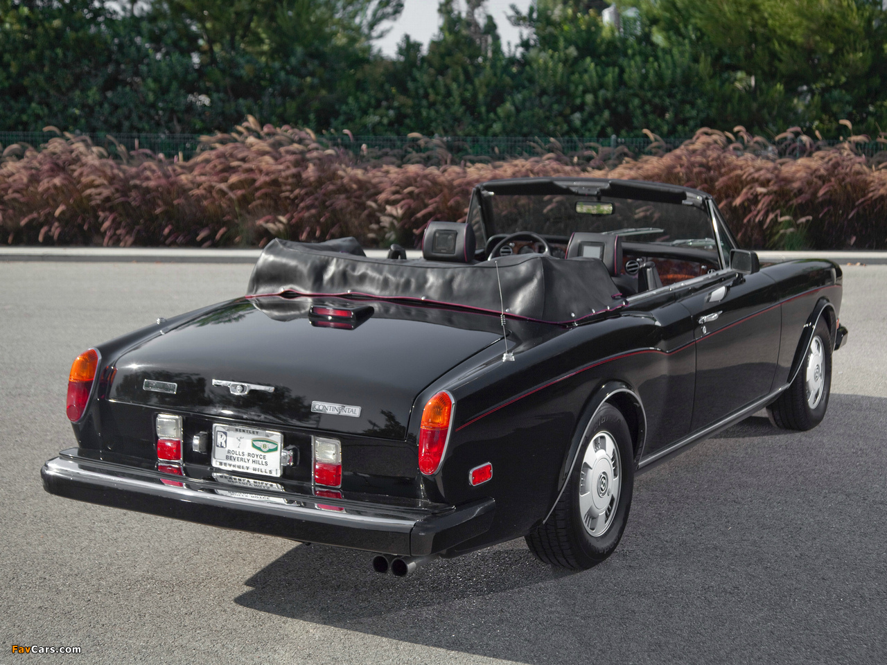 Bentley Continental Convertible 1992–95 pictures (1280 x 960)