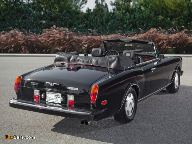 Bentley Continental Convertible 1992–95 pictures (640 x 480)