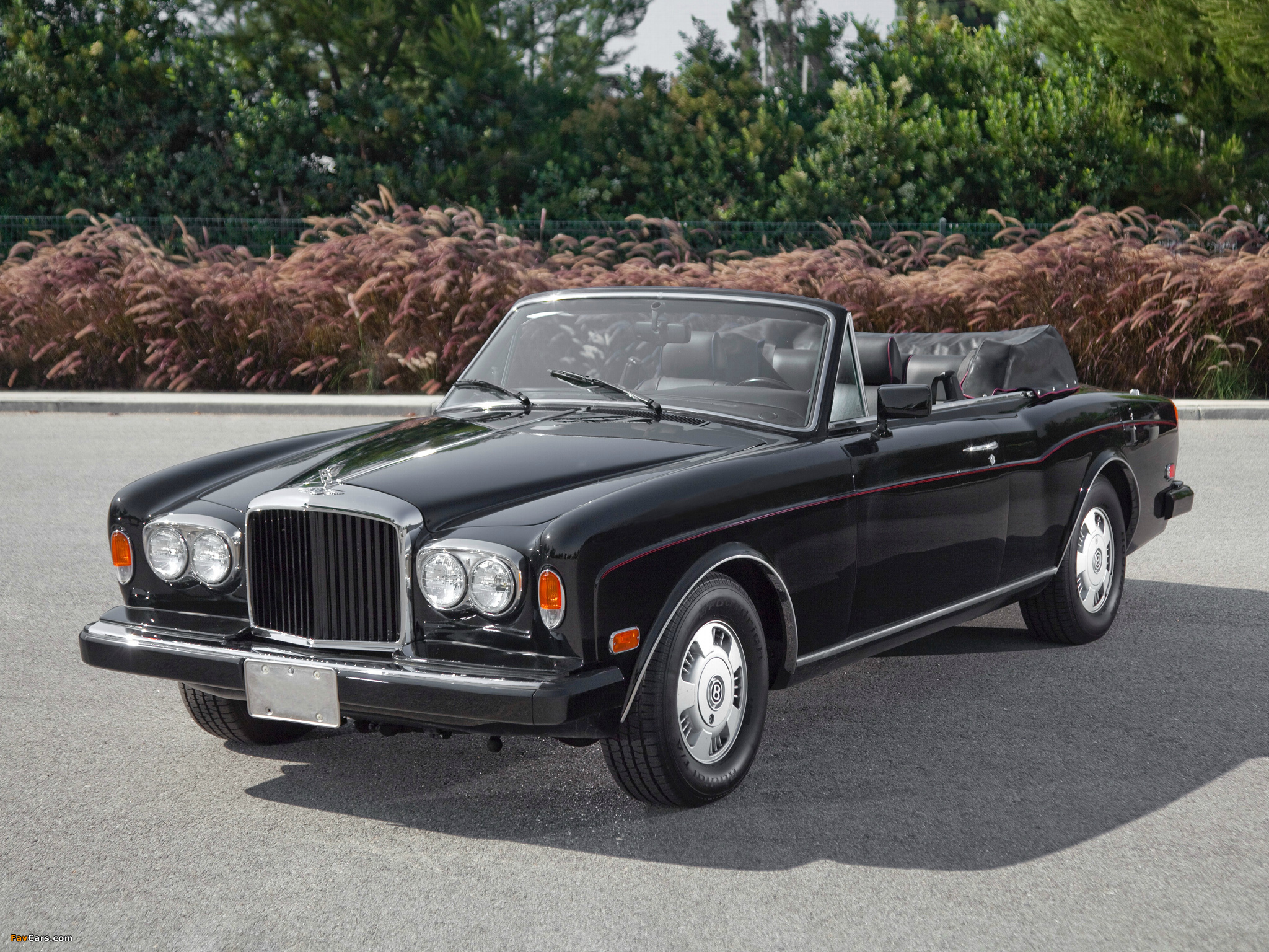 Bentley Continental Convertible 1992–95 pictures (2048 x 1536)