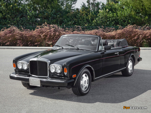 Bentley Continental Convertible 1992–95 pictures (640 x 480)