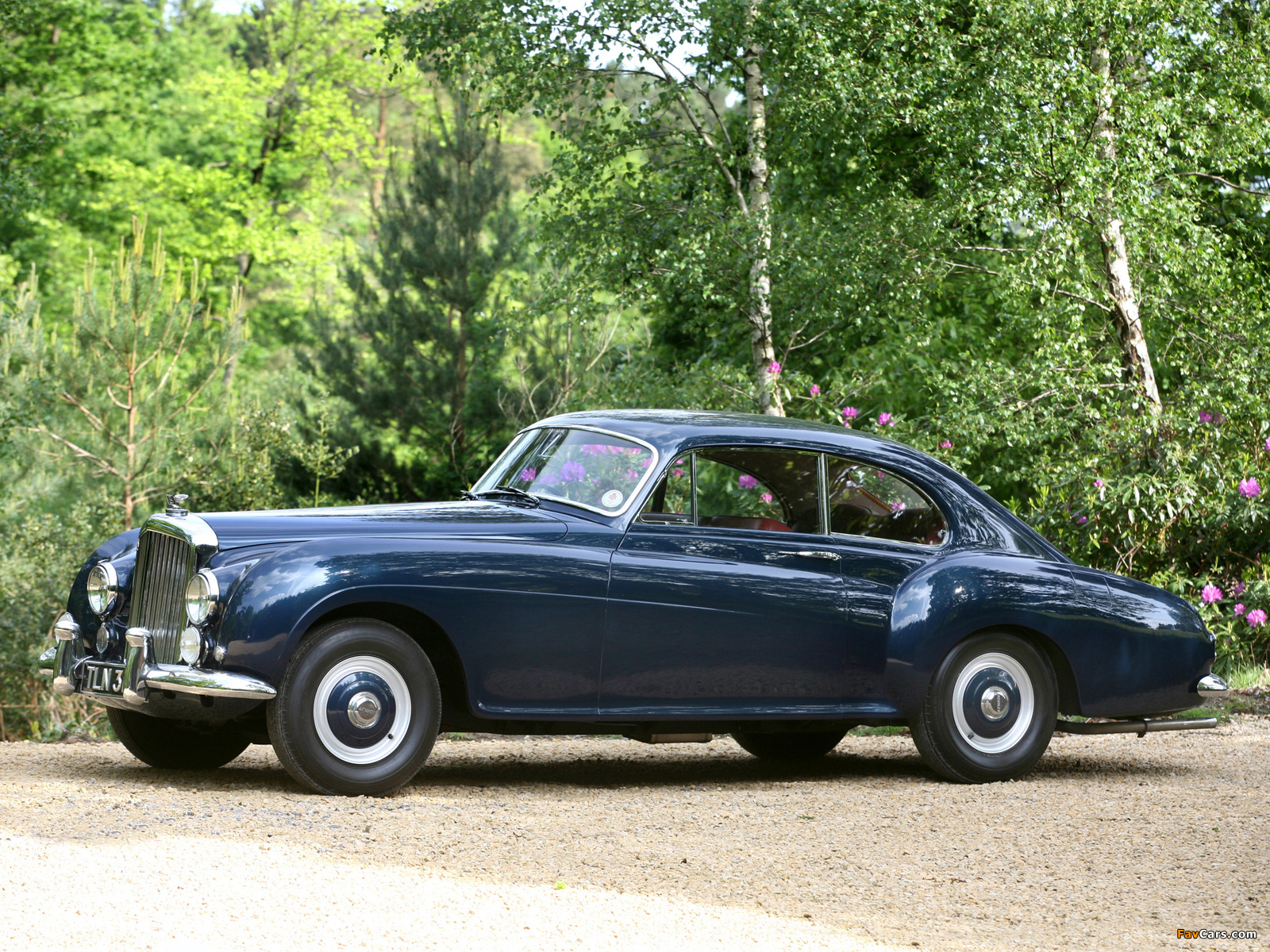 Images of Bentley R-Type Continental Sports Saloon by Mulliner 1952–55 (1600 x 1200)