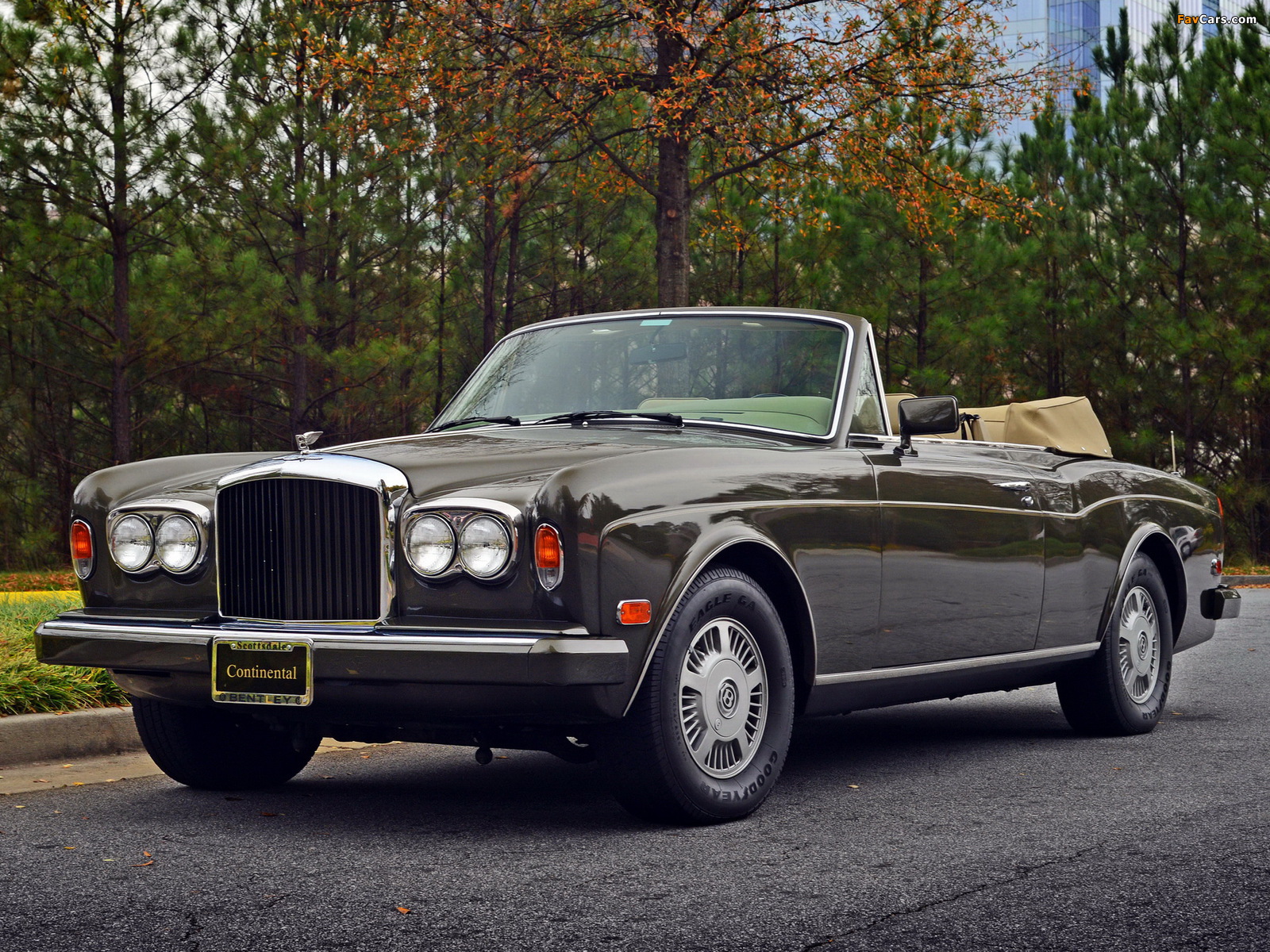 Images of Bentley Continental Convertible 1984–89 (1600 x 1200)