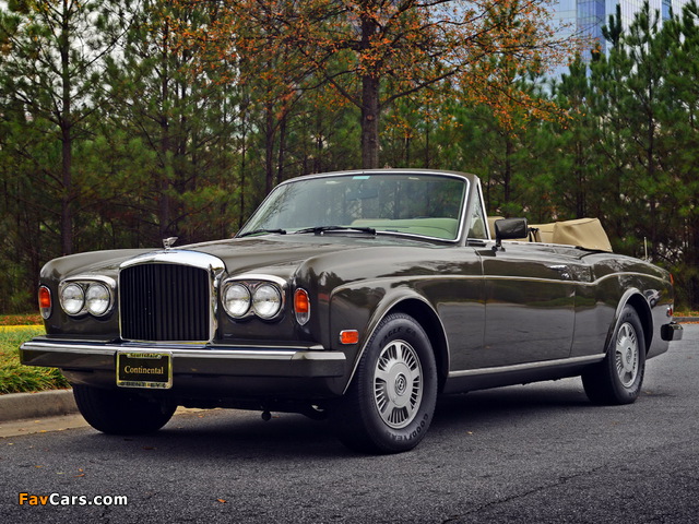 Images of Bentley Continental Convertible 1984–89 (640 x 480)