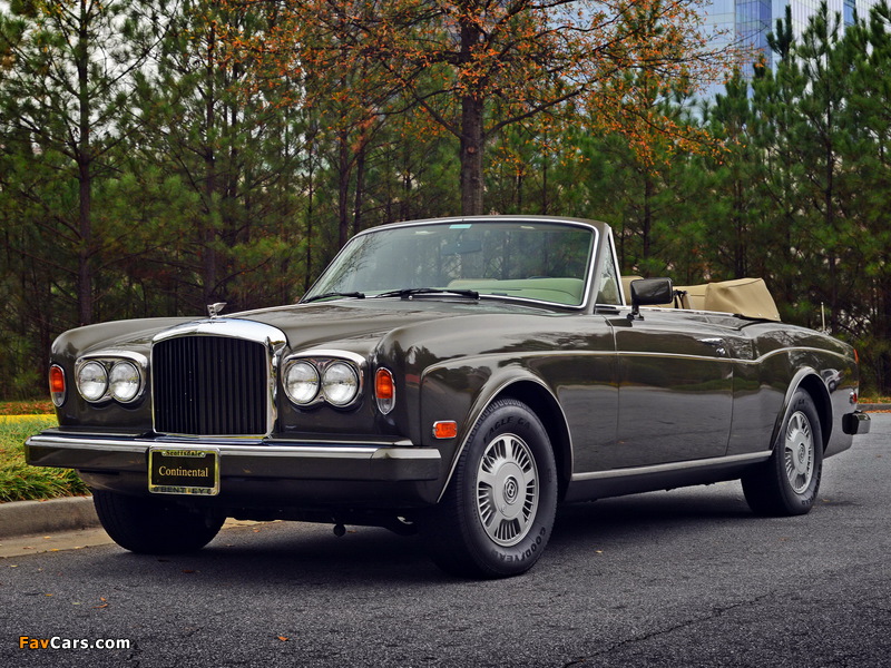Images of Bentley Continental Convertible 1984–89 (800 x 600)