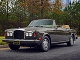 Images of Bentley Continental Convertible 1984–89