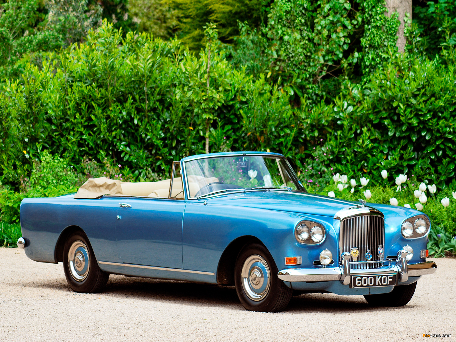 Pictures of Bentley S3 Continental Convertible by Mulliner Park Ward 1962–66 (1600 x 1200)