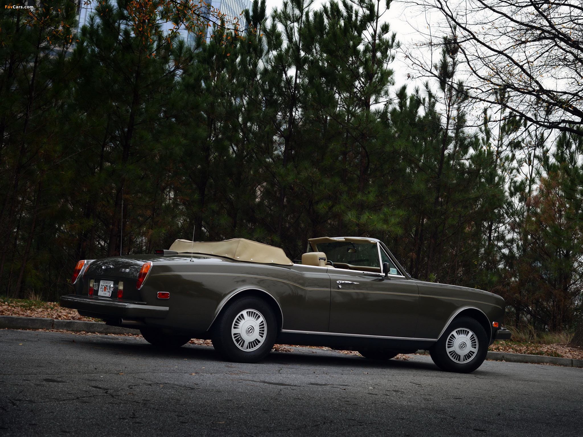 Pictures of Bentley Continental Convertible 1984–89 (2048 x 1536)