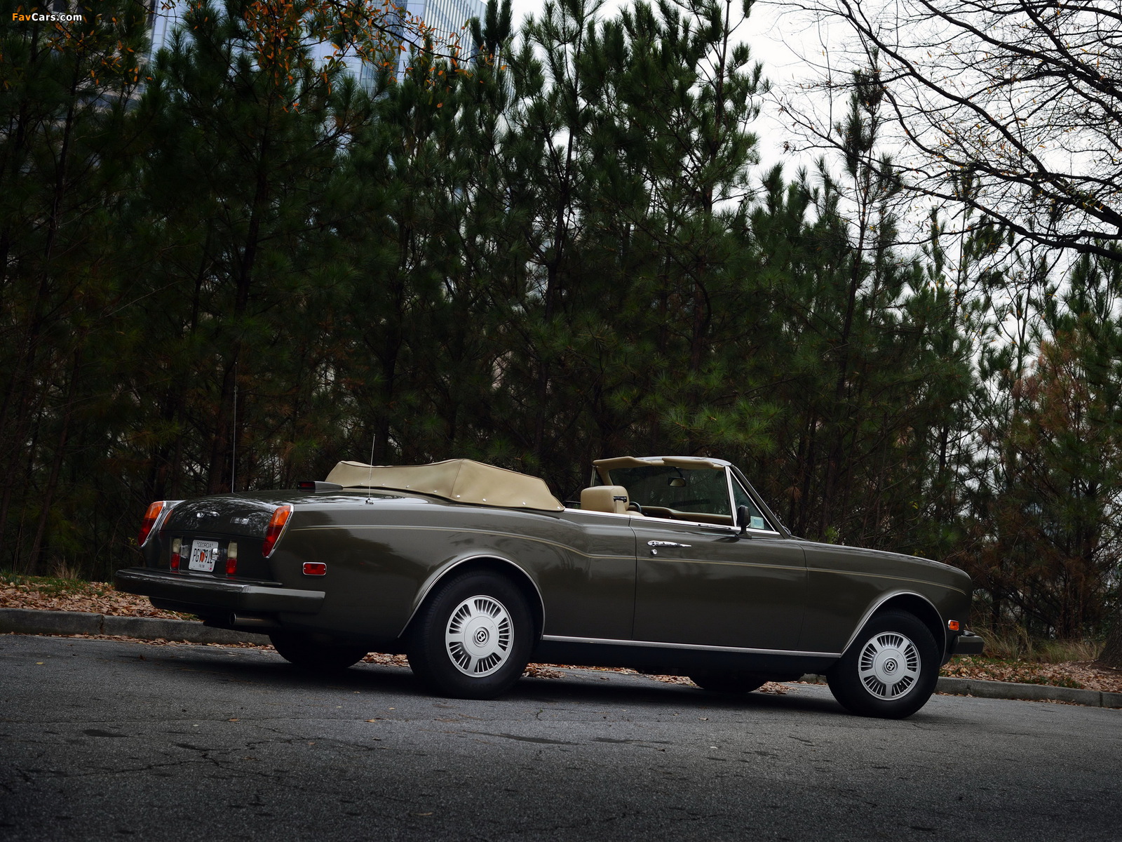 Pictures of Bentley Continental Convertible 1984–89 (1600 x 1200)