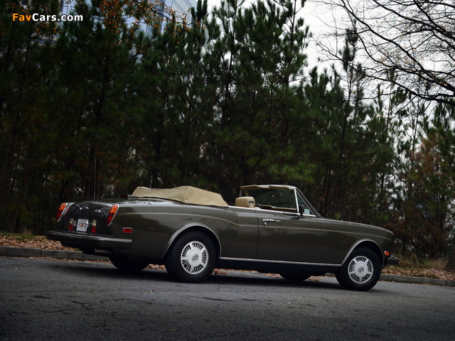 Pictures of Bentley Continental Convertible 1984–89 (640 x 480)