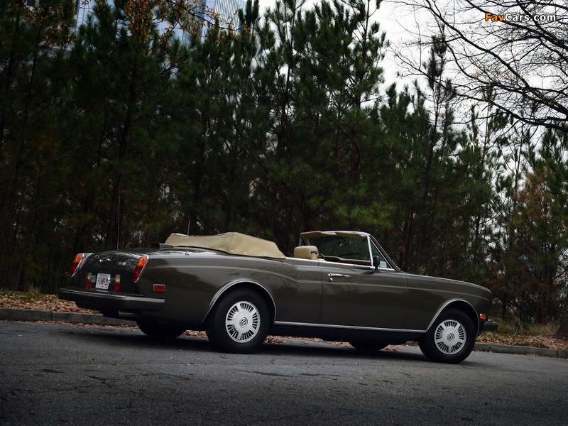 Pictures of Bentley Continental Convertible 1984–89 (800 x 600)