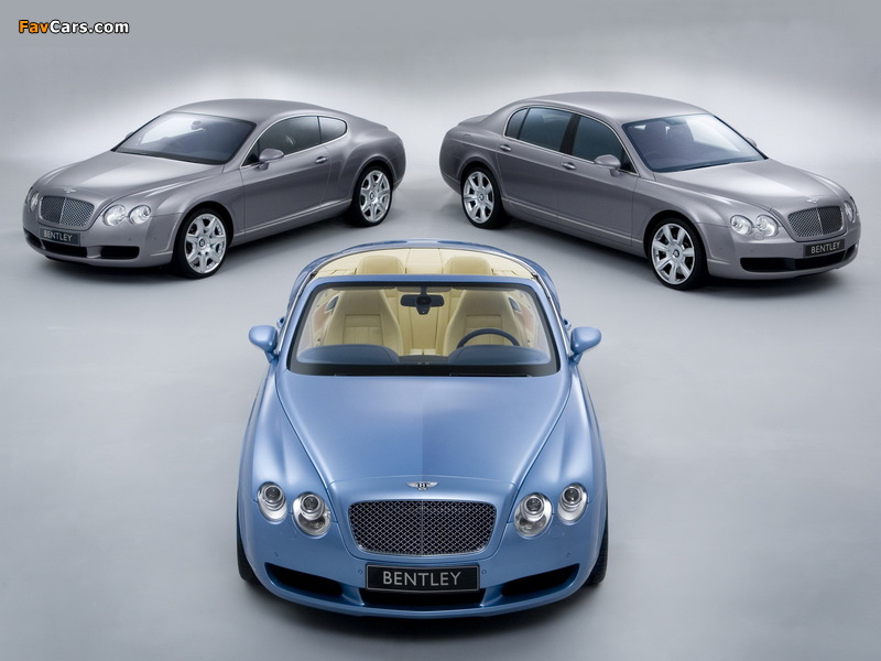 Pictures of Bentley (800 x 600)