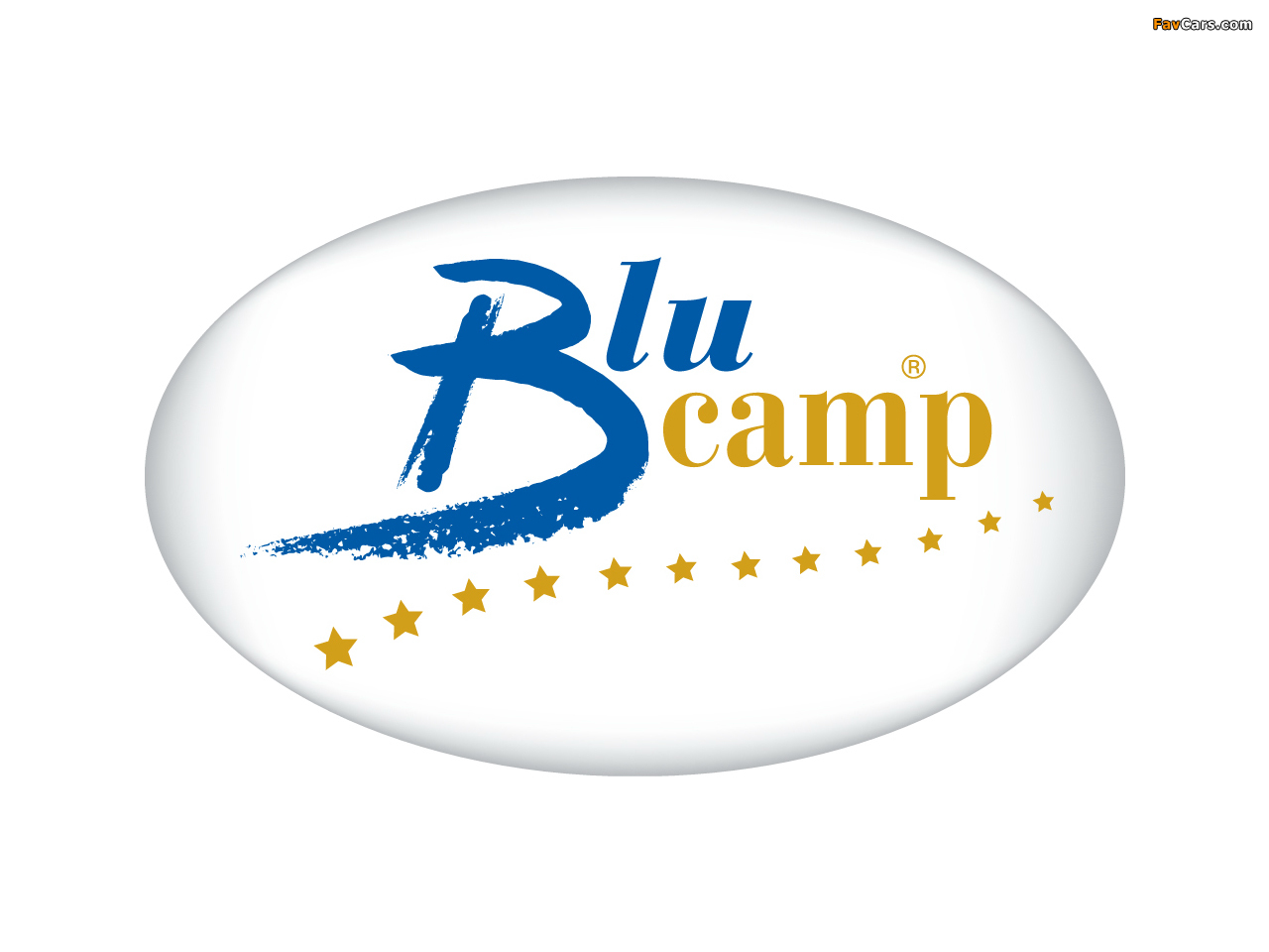 Blucamp wallpapers (1280 x 960)