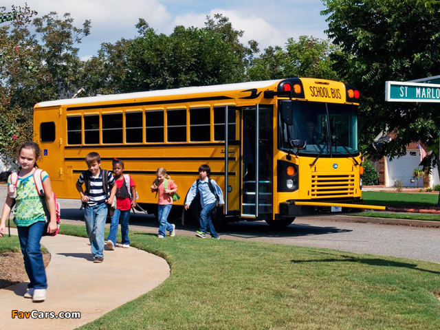 Blue Bird All American FE School Bus 2008 pictures (640 x 480)