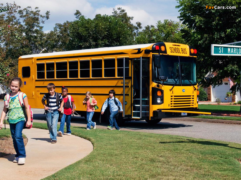 Blue Bird All American FE School Bus 2008 pictures (800 x 600)