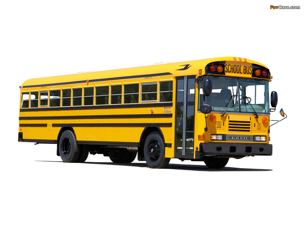 Blue Bird All American FE School Bus images (1024 x 768)