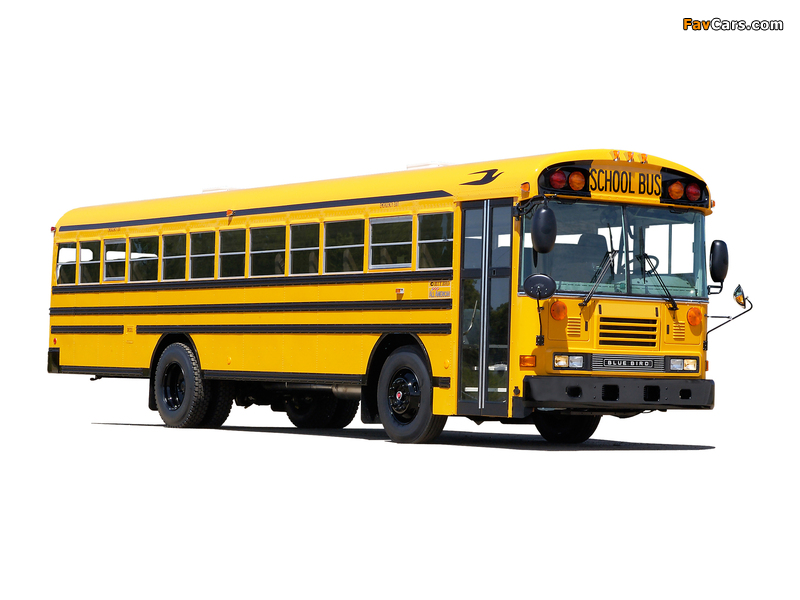 Blue Bird All American FE School Bus images (800 x 600)