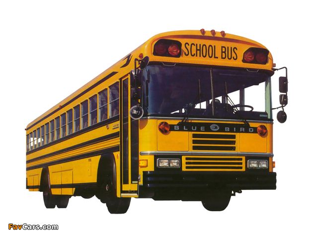 Images of Blue Bird All American RE School Bus 1989– (640 x 480)