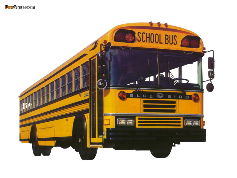 Images of Blue Bird All American RE School Bus 1989– (800 x 600)